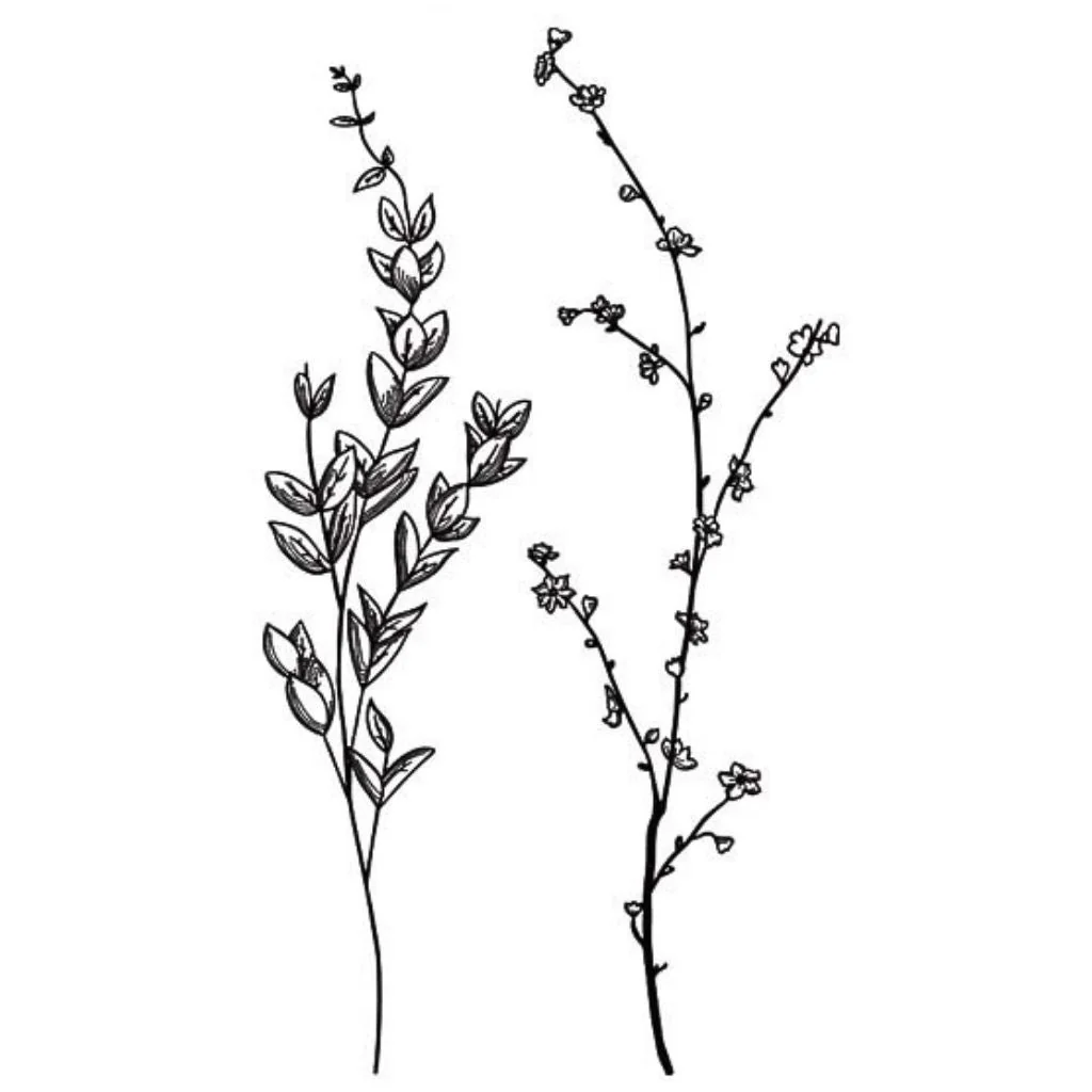 2 Botanical Wildflower Stems