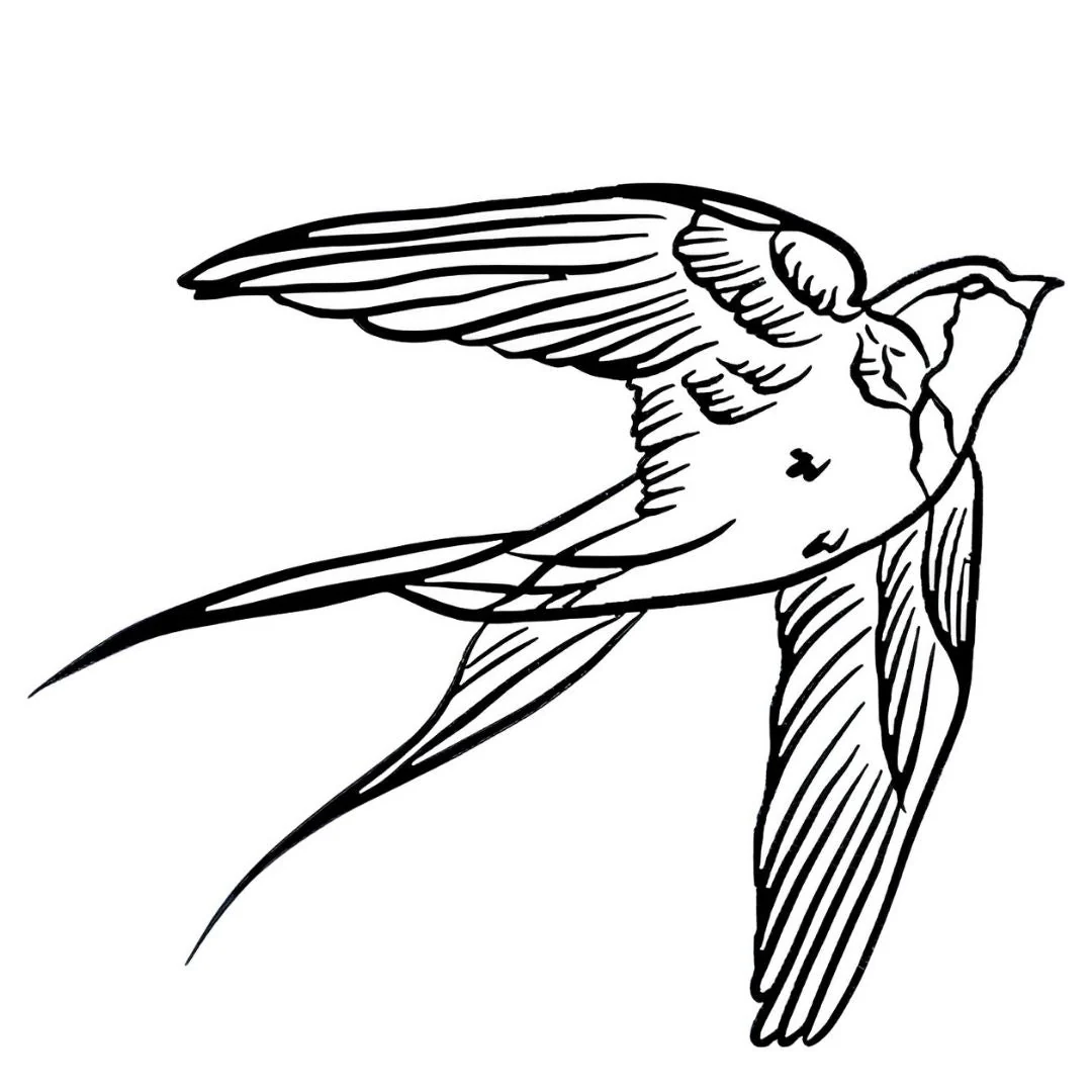 Classic Swallow Tattoo - Image 2