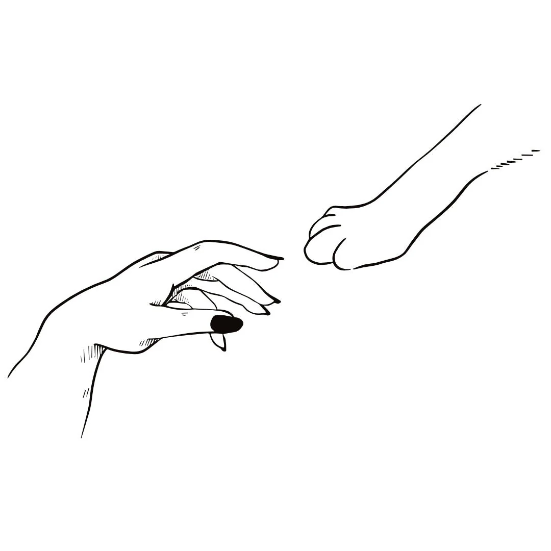 Hand touching cat paw temporary tattoo - Image 2