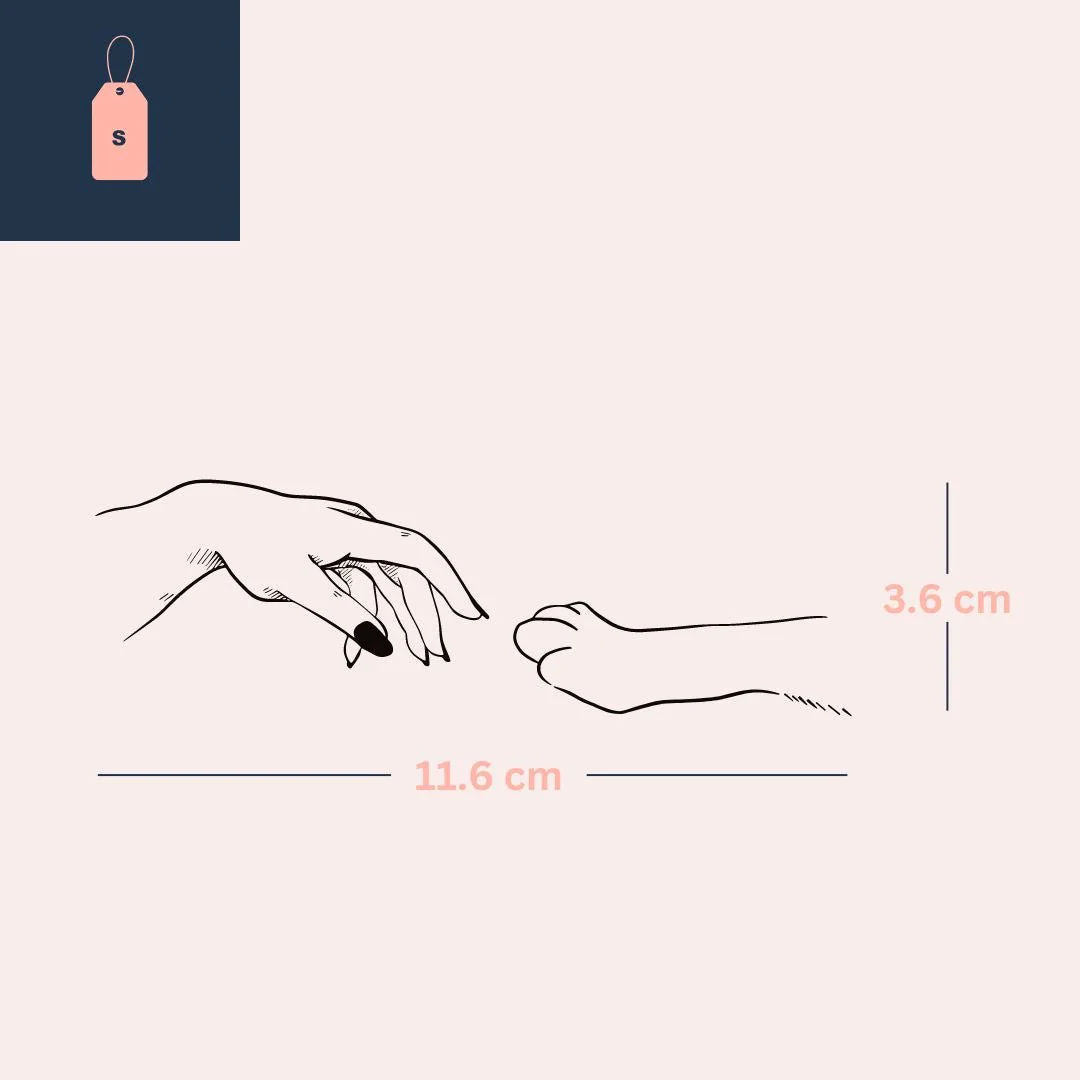 Hand touching cat paw temporary tattoo - Image 4