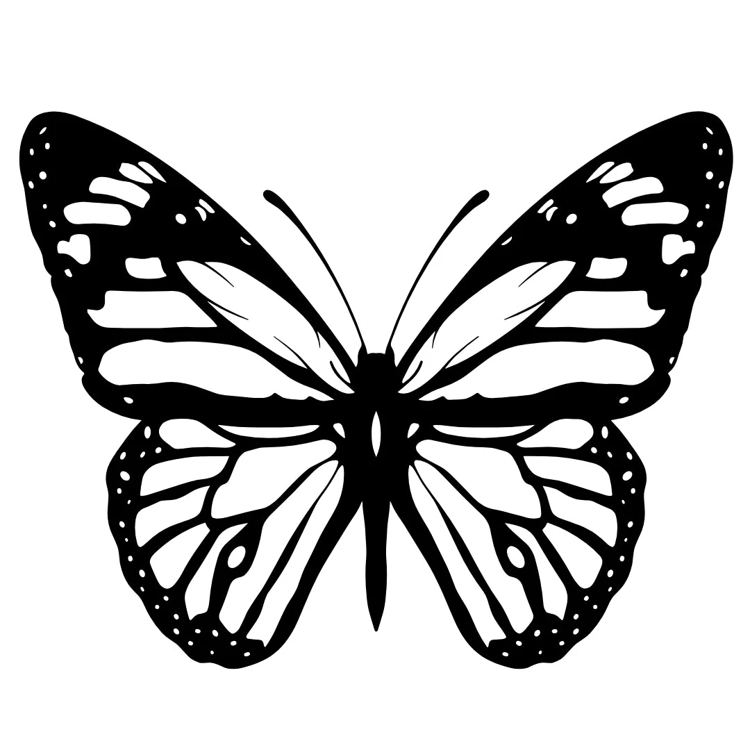 Butterfly Silhouette Temporary Tattoo - Image 2