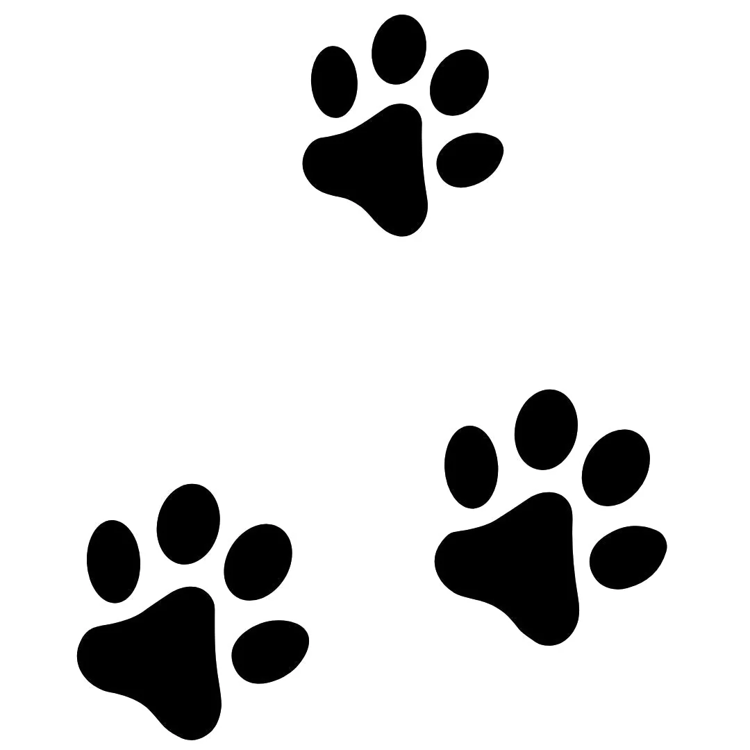 Three Paw Prints Temporary Tattoo - Image 2