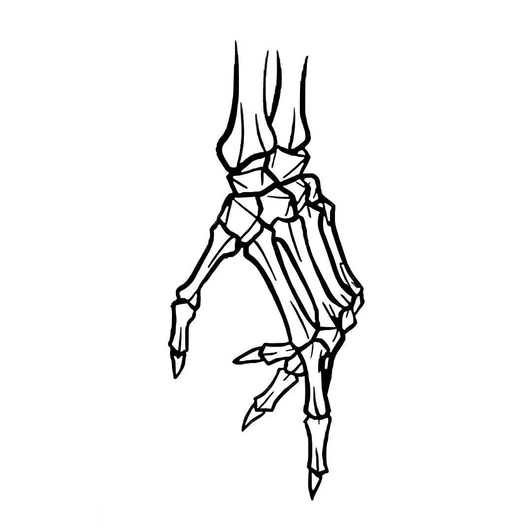 Skeleton Hand Tattoo - Image 2